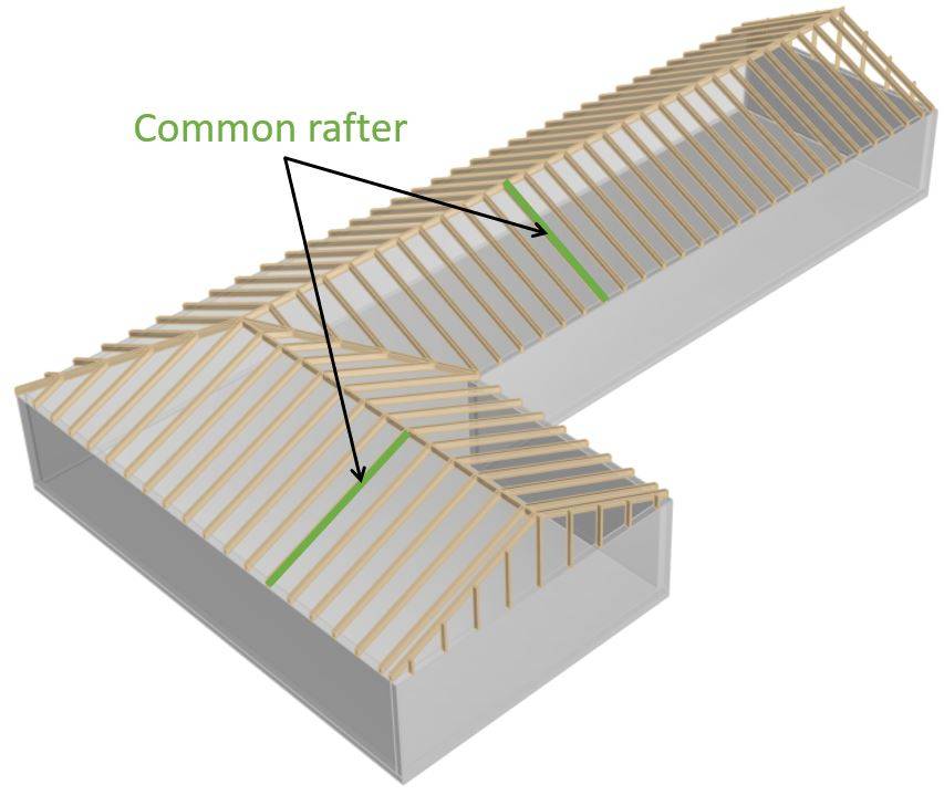 The common rafters are inclined members of the rafter roof that are supported by the ridge and the walls.
